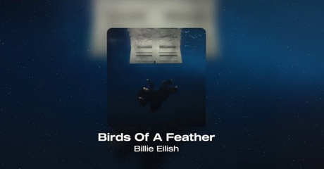 Second Life Marketplace - Billie Eilish - BIRDS OF A FEATHER Dancer